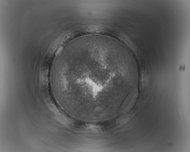 X0000115640585200911101518