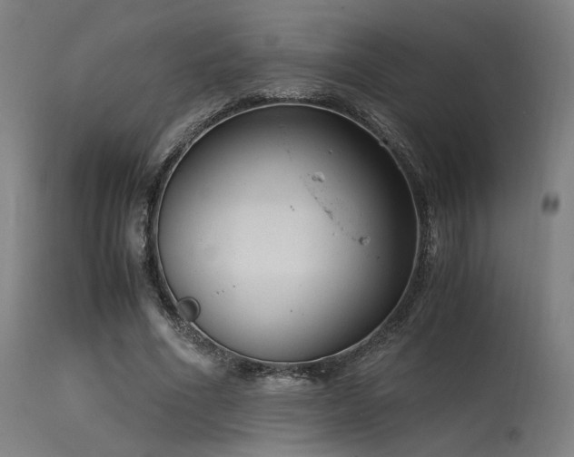 X0000115640586200911101518
