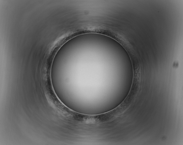 X0000115640587200911101518