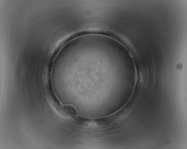 X0000115640588200911101518