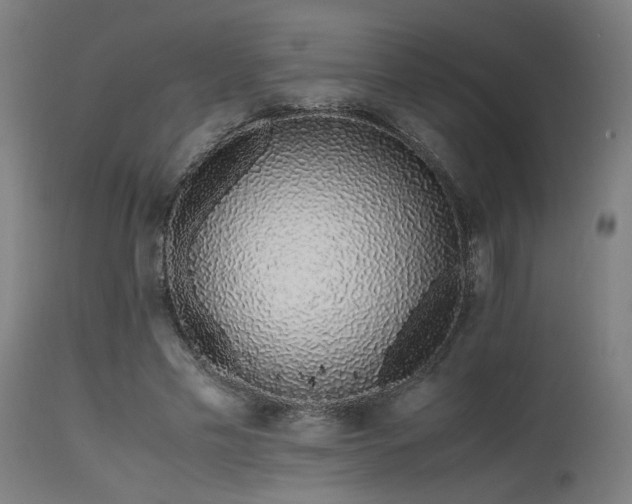 X0000115640589200911101518