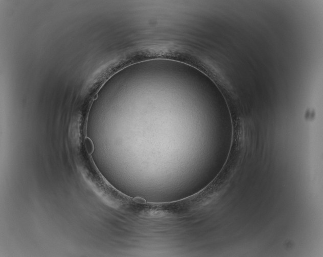 X0000115640590200911101518