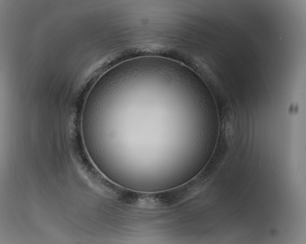 X0000115640591200911101518