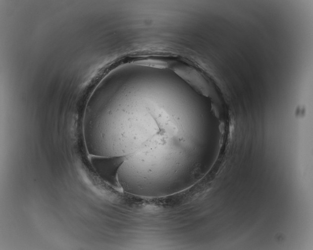 X0000115640592200911101518