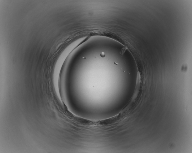 X0000115640595200911101518