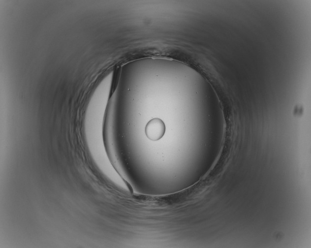 X0000115640597200911101518