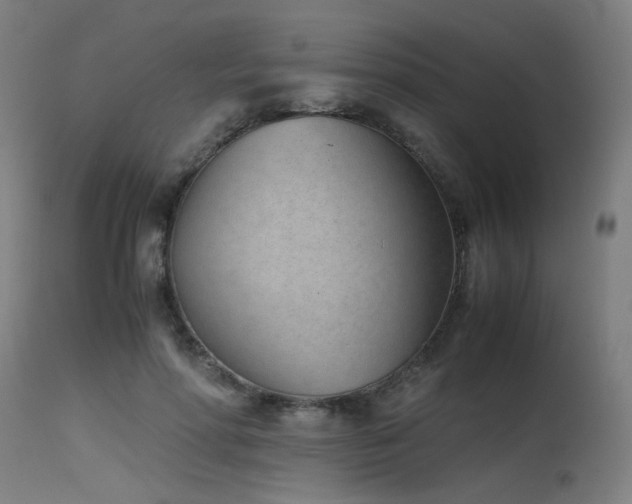 X0000115640598200911101518