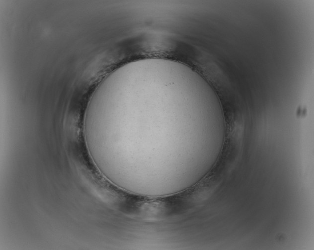 X0000115640599200911101518