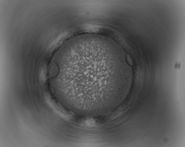 X0000115640600200911101518