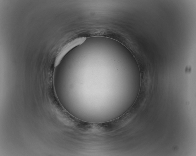X0000115640601200911101518