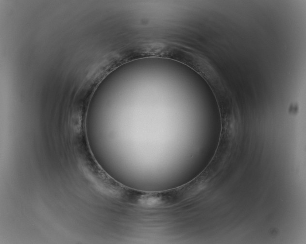 X0000115640602200911101518