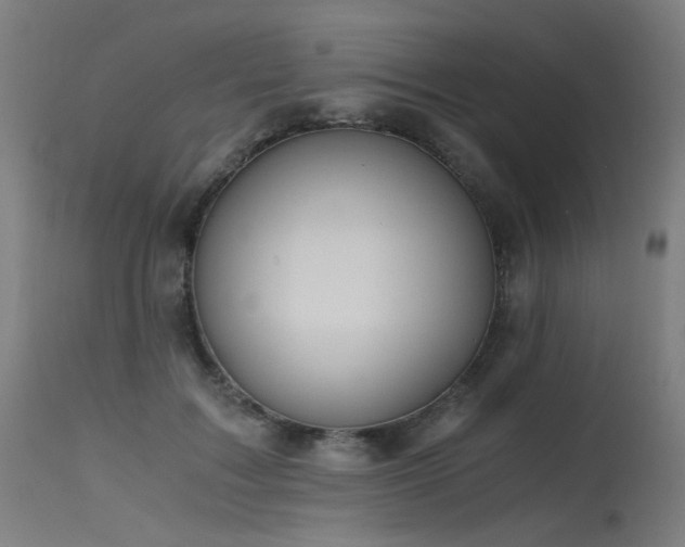 X0000115640603200911101518