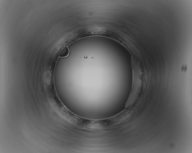 X0000115640604200911101518