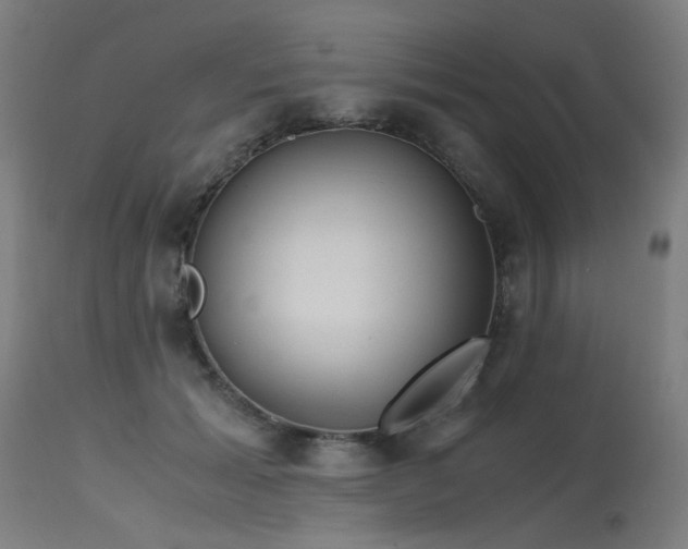 X0000115640605200911101518