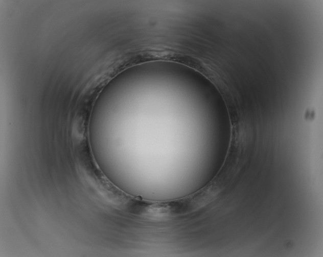 X0000115640606200911101518