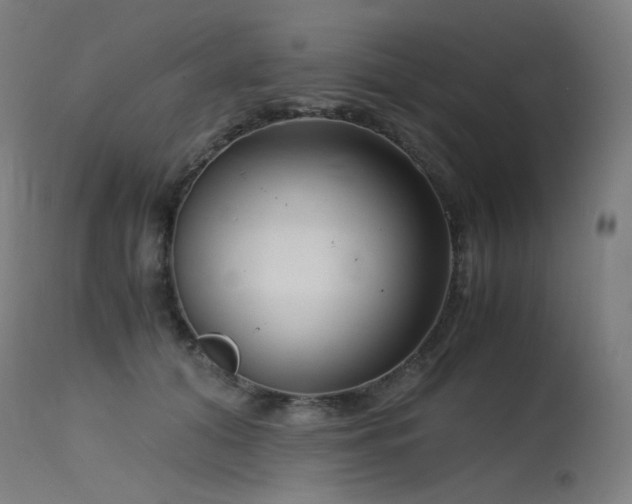 X0000115640608200911101518