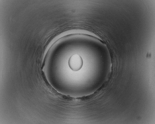 X0000115640609200911101518