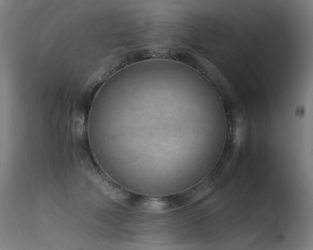 X0000115640610200911101518