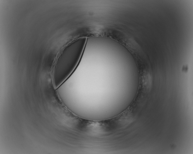 X0000115640611200911101518
