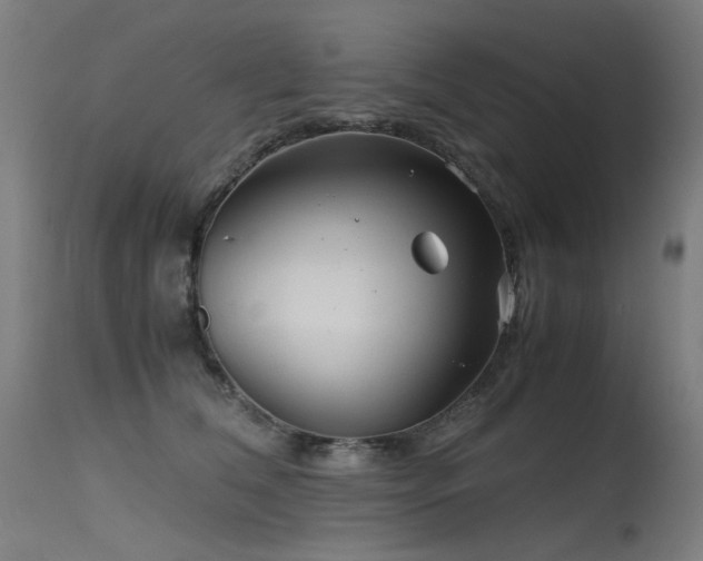 X0000115640612200911101518