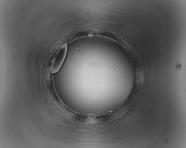 X0000115640613200911101518