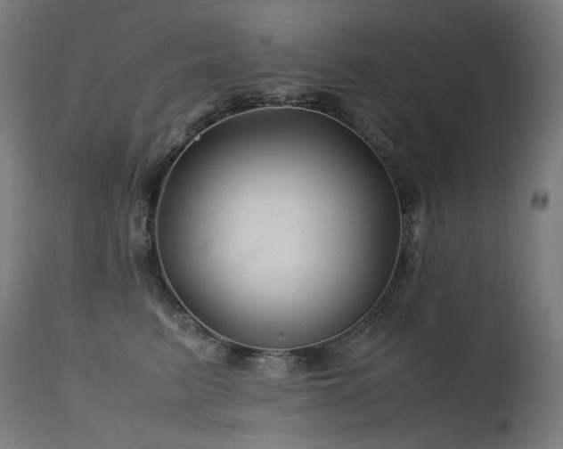 X0000115640615200911101518