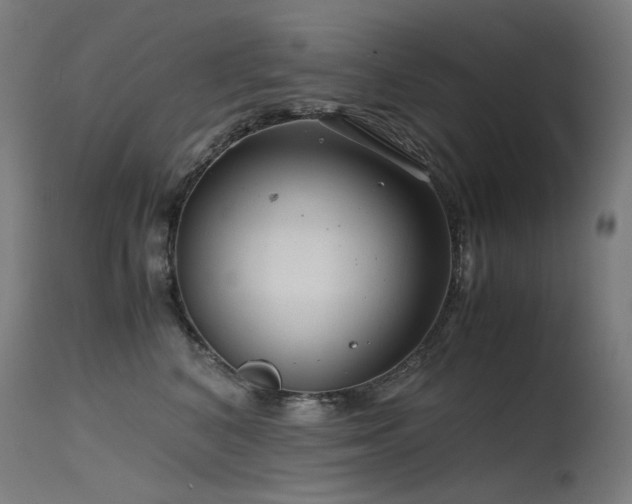 X0000115640616200911101518