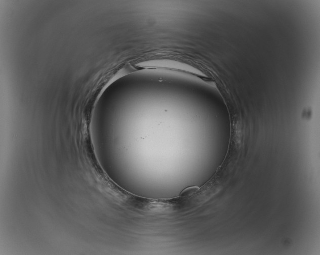 X0000115640617200911101518