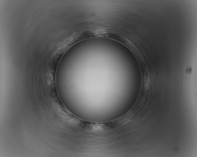 X0000115640618200911101518