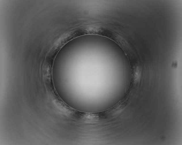 X0000115640619200911101518
