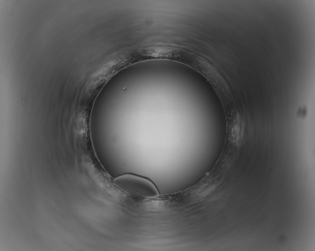 X0000115640620200911101518