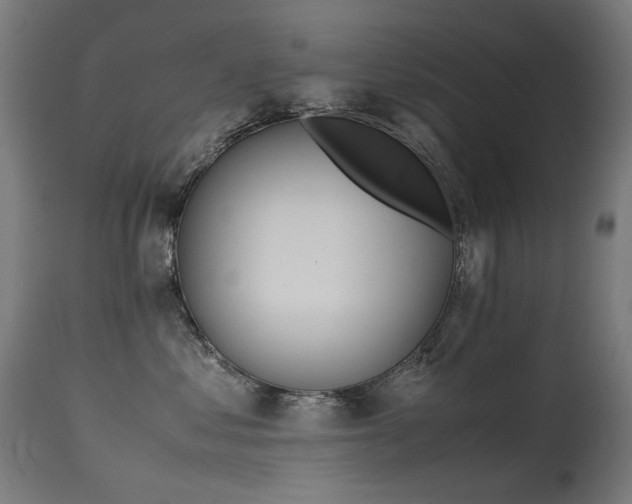 X0000115640621200911101518