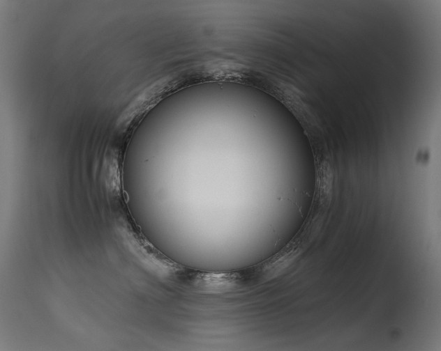 X0000115640622200911101518