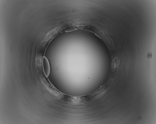 X0000115640623200911101518