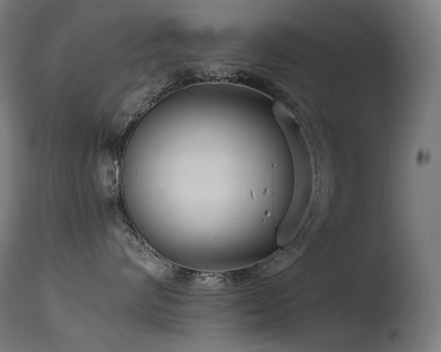 X0000115640624200911101518
