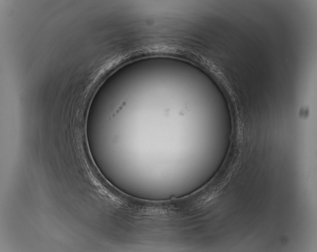 X0000115640625200911101517
