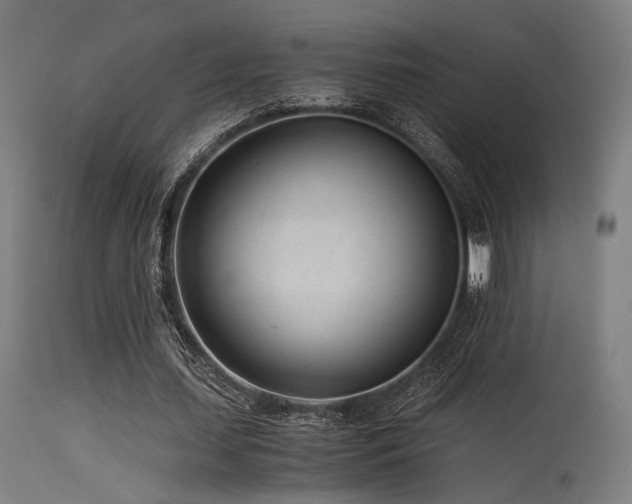 X0000115640627200911101517