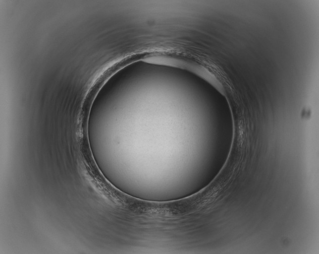 X0000115640628200911101517