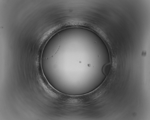 X0000115640629200911101517