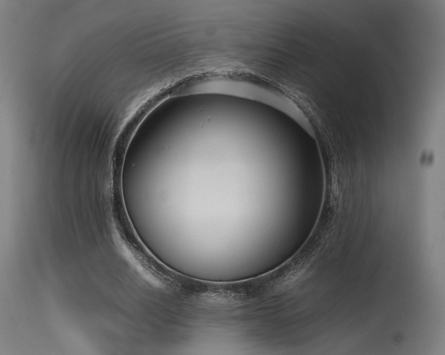 X0000115640630200911101517