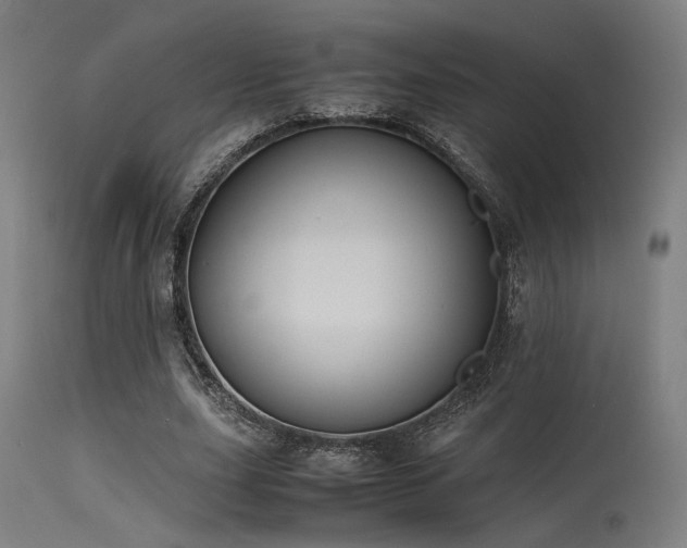 X0000115640631200911101517