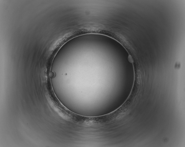 X0000115640634200911101517