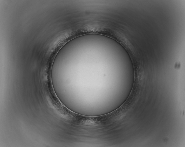 X0000115640635200911101517