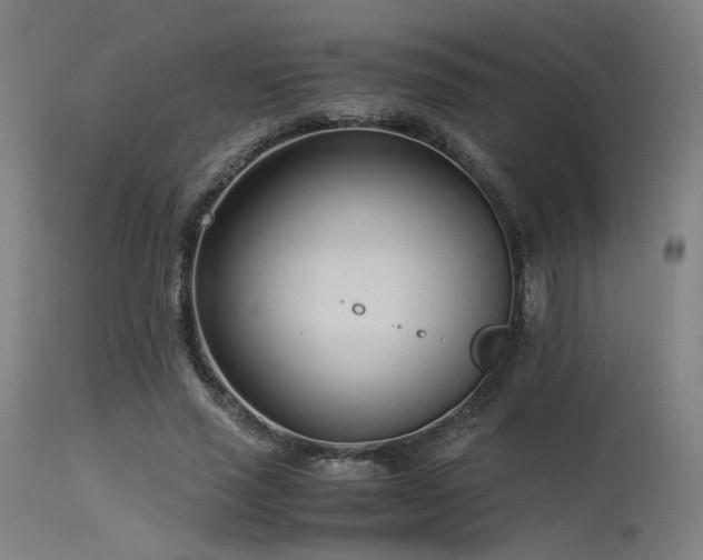 X0000115640637200911101517