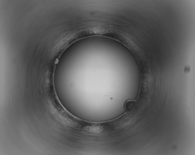 X0000115640639200911101517