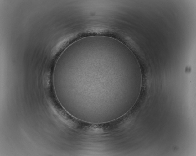 X0000115640640200911101517