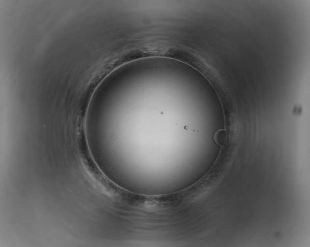 X0000115640641200911101517