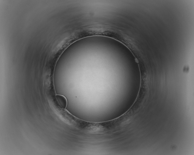 X0000115640642200911101517