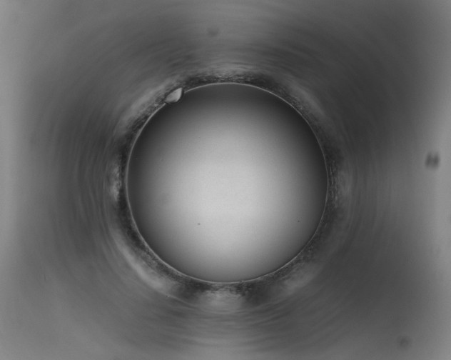X0000115640644200911101517
