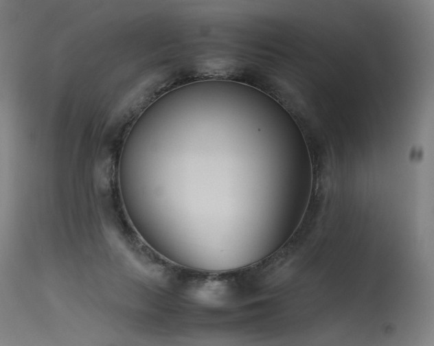 X0000115640647200911101517